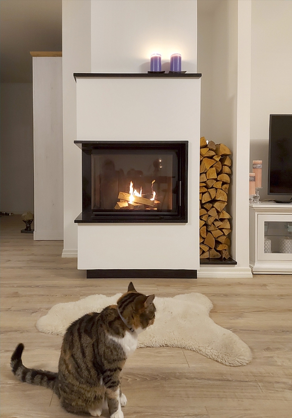 HEAT R/L 2g S 65.51.40.01(21) - Eckiger Kamineinsatz mit gebogener (geteilter) Glasscheibe